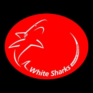 White Sharks